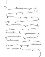 HEMA Lichtsnoer 27.9m met 200 lampjes voor binnen en buiten (wit) - thumbnail