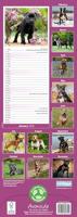 Staffordshire Bull Terrier Kalender 2026 Slimline - thumbnail