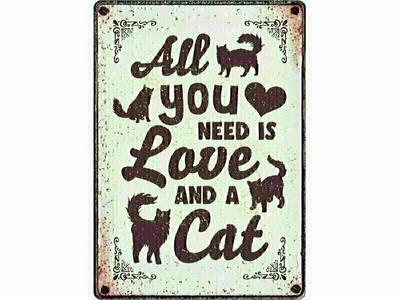 Plenty Gifts waakbord blik all you need is love and a cat