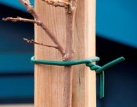 Nature rubberband met draad in kern d6mmx5m - thumbnail