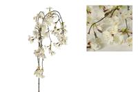 Decostar kersenbloesem tak hangend Hilary 125 cm wit - thumbnail