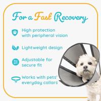 Zenpet Procone L - thumbnail