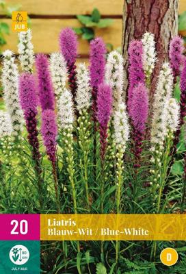 Bloembollen Liatris Blauw-Wit 20st