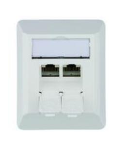 Telegärtner 100023002 Netwerkdoos Opbouw (op muur) CAT 6A 2 poorten Alpine-wit