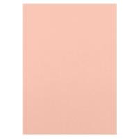Craft Perfect By Tonic Studios Craft perfect • klassieke kaart a4 10pcs bubblegum pink - thumbnail