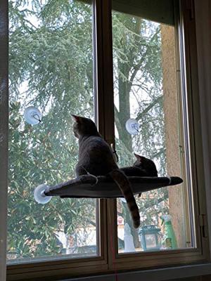 Kattenhangmat United Pets (37 x 47 cm)