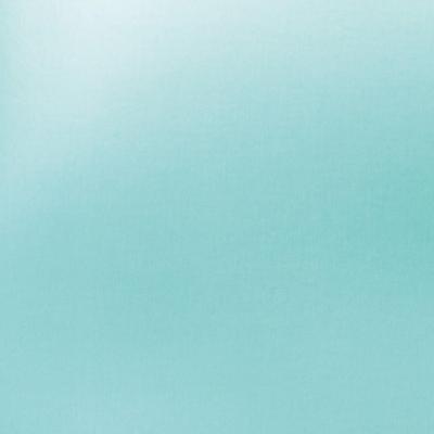 Tonic Studios • mirror card satin a4 x5 silky sky