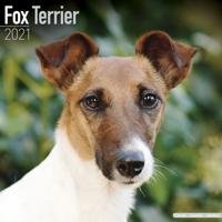 Fox Terrier Kalender 2021 - thumbnail