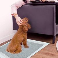 TRIXIE PUPPYPADS NAPPY MET KOOLSTOF 60X60 CM 10 ST - thumbnail