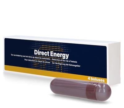 Direct Energie Bolus