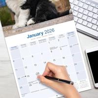 Old English Sheepdog Kalender 2026 - thumbnail