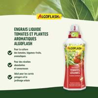 Tomaten- en groentemest 750 ml - thumbnail