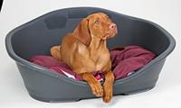 TRIXIE VITAL SOFA BENDSON ORTHOPEDISCH OVAAL DONKERGRIJS / LICHTGRIJS 100X80X25 CM - thumbnail