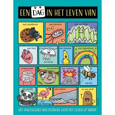 Een dag in het leven van (Paperback)