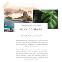 Berdoues Selvo Do Brazil Eau de Parfum 100ml - thumbnail