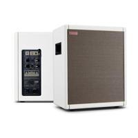 Positive Grid Spark Cab Pearl - thumbnail