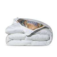 Avenue - Syntetisch All-Year Dekbed - 140x200cm - thumbnail