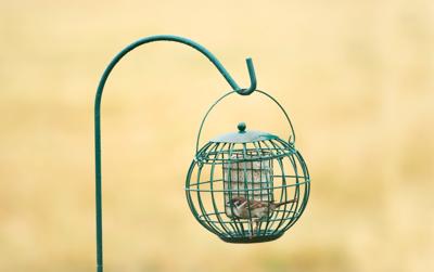 London vetblokhouder