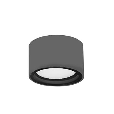 Lyora Ronde plafondlampFocus Ø 10cm grijs - 752463