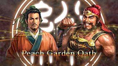 Romance of the Three Kingdoms XIII
