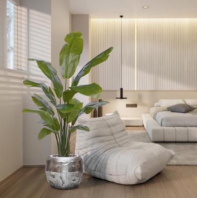 Traveller Palm promo 160cm