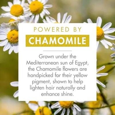 Klorane Blond Highlights Shampoo With Cham. 400 ml