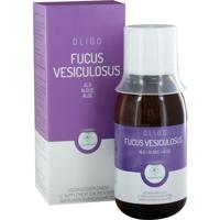 Oligo Fucus vesiculosus - thumbnail