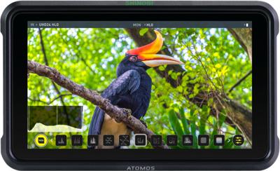 Atomos 5,2 „4K DCI 2160p Shinobi veldmonitorrecorder/speler
