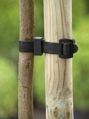 Nature boomband met gesp