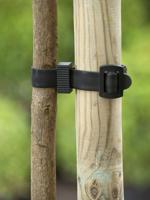 Boomband met gesp - thumbnail