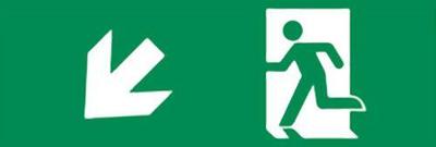 Noodverlichting richting Pijl Links Omlaag 300x100mm - Sticker