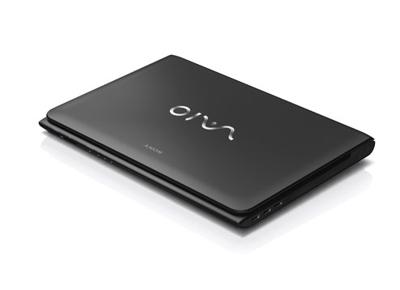 iPhone 12 Pro Max Case Anti-shock Birds