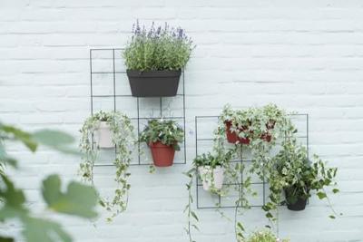 Elho rek loft urban green wall - living black - thumbnail
