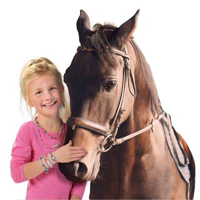Ses ik hou van paarden - sieraden studio - thumbnail
