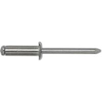 Gesipa Blindklinknagel | klinknagelschacht d x l 4 x 10 mm | staal / staal | 500 stuks - 1433556 1433556 - thumbnail