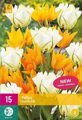 Tulp sunbath 15 bollen