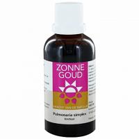 Zonnegoud Pulmonaria Simplex - thumbnail