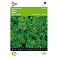 Peterselie Gekrulde Donkergroene - thumbnail