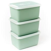 DBP Alaska Diepvriesdozen Rechthoekig 1L 3 Stuks Mintgroen - thumbnail