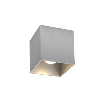 Wever & Ducre - Box 1.0 LED Spot Geborsteld Aluminium