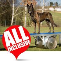 Reddingshond Complete set - thumbnail