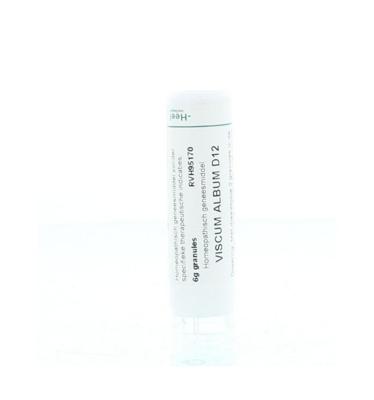 Homeoden Heel Viscum album D12 6 Gram Homeoden Heel Viscum album D12 6 Gram