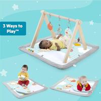 Disney speelkleed, WINNIE THE POOH - BRIGHT STARTS - Once Upon a Tummy Time - Houten activiteitenboog - Blauw - Newborns en + - thumbnail