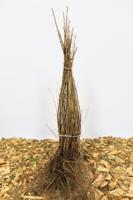 Alpenbes - thumbnail