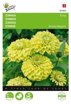 Zaden zinnia envy 1 gram Buzzy - Buzzy
