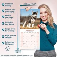 Siberian Husky Kalender 2026 - thumbnail