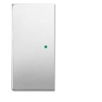 Busch-Jaeger 2CKA006220A0418 Afdekking 2-voudig free@home RVS 1 stuk(s) - thumbnail