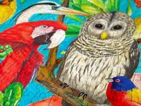 Feathered Frenzy Puzzel 1000 Stukjes - thumbnail