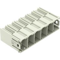 WAGO 832-3626 Female connector 10 stuk(s) - thumbnail