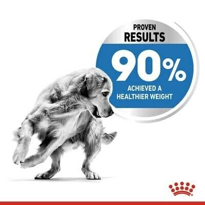 Royal Canin Light Weight Care Maxi hondenvoer 12kg - thumbnail